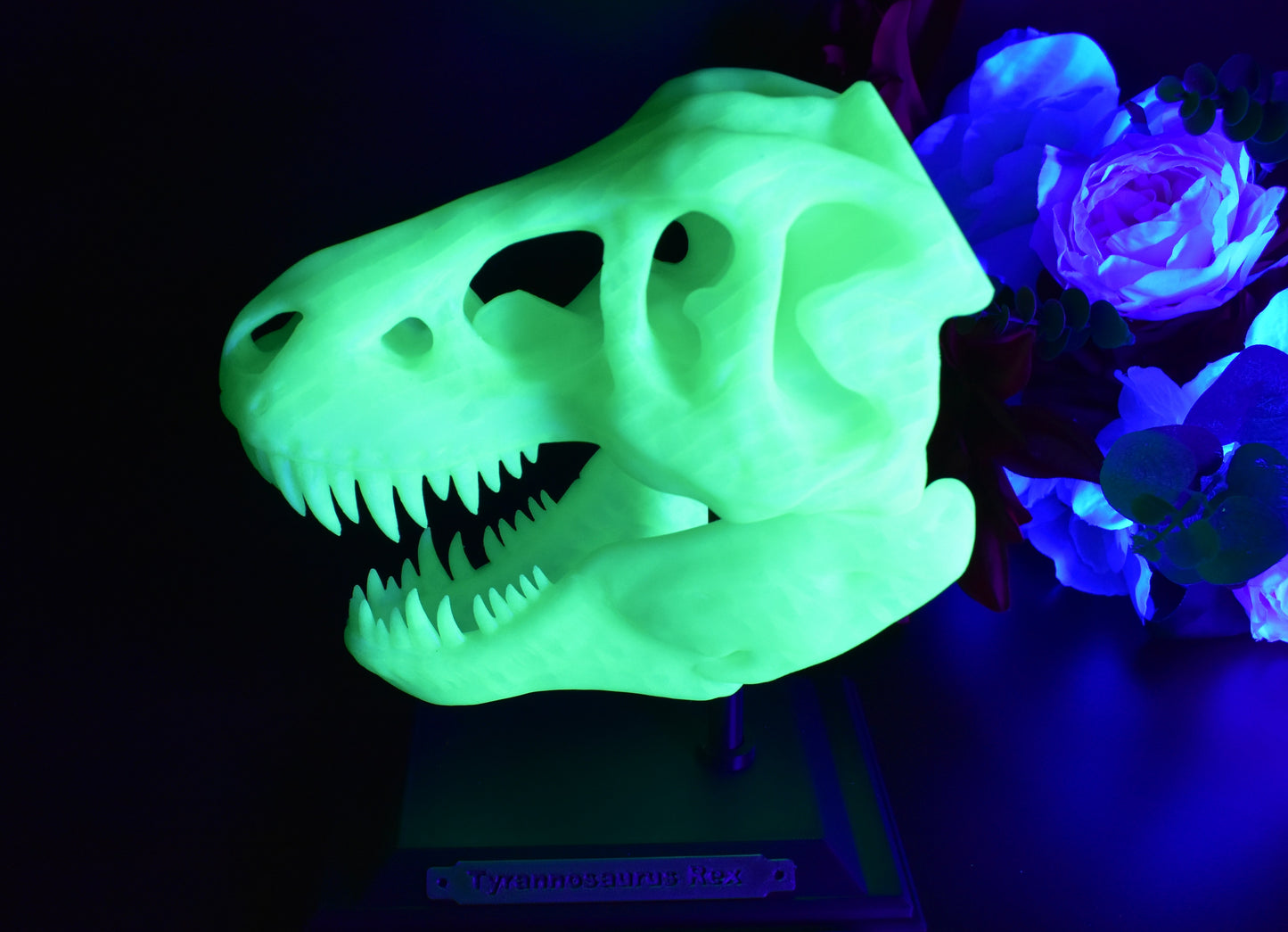 π¦ 3D-Printed T-Rex Skull β A Fierce and Detailed Dinosaur Replica!