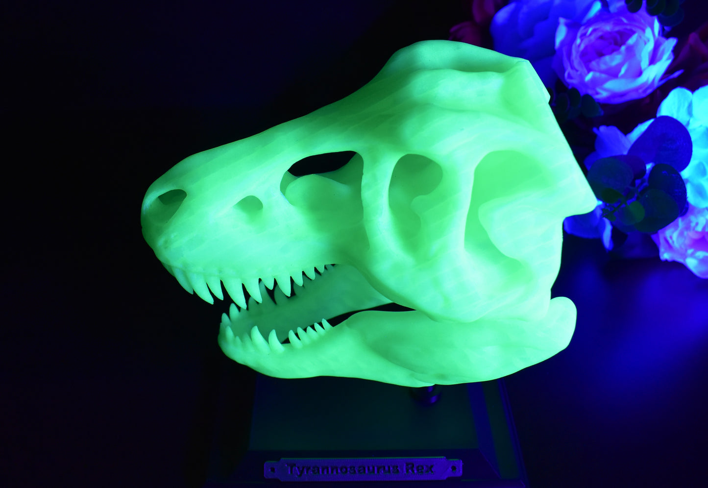 π¦ 3D-Printed T-Rex Skull β A Fierce and Detailed Dinosaur Replica!