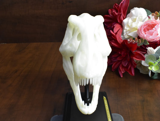 🦖 3D-Printed T-Rex Skull – A Fierce and Detailed Dinosaur Replica!