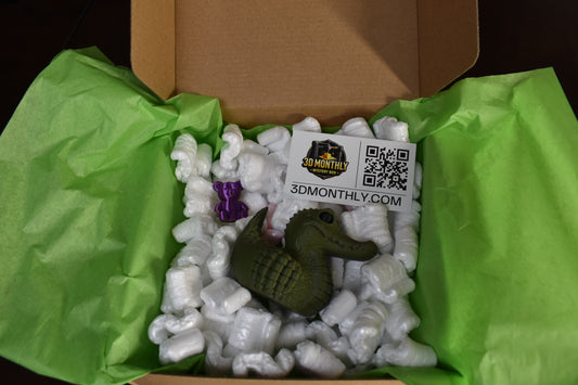 Mystery Box – Unique 3D-Printed Surprises Delivered to Your Door!